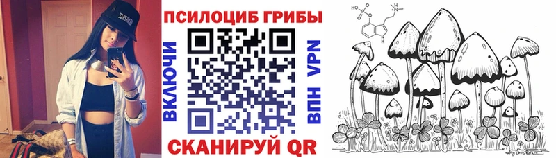 Псилоцибиновые грибы Psilocybine cubensis  купить закладку  Жирновск 